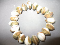 Shell Bracelet Green Sun