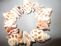 Shell Bracelet (Multi Shells, White & Brown)